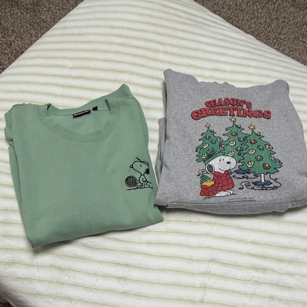 Peanuts Snoopy Sweatshirt Set - Green and Gray